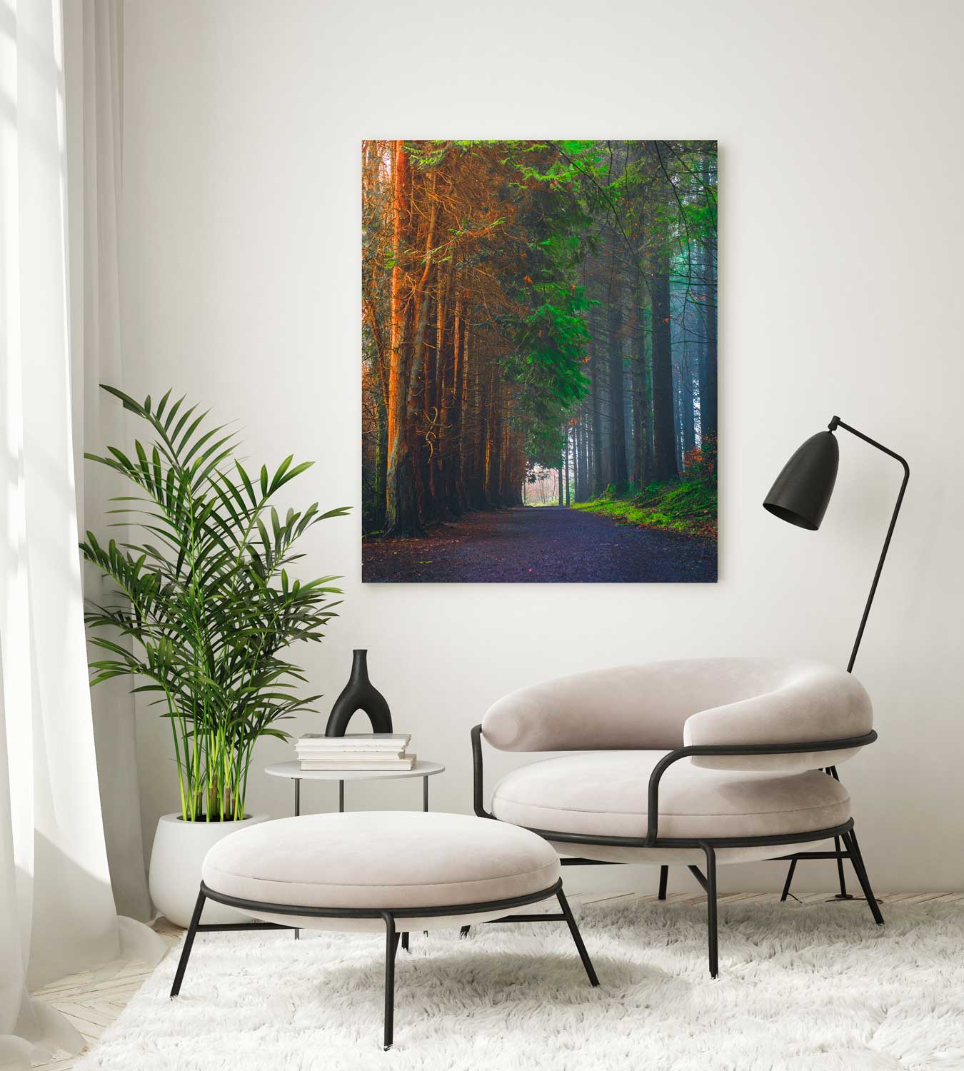 Forests Dream
